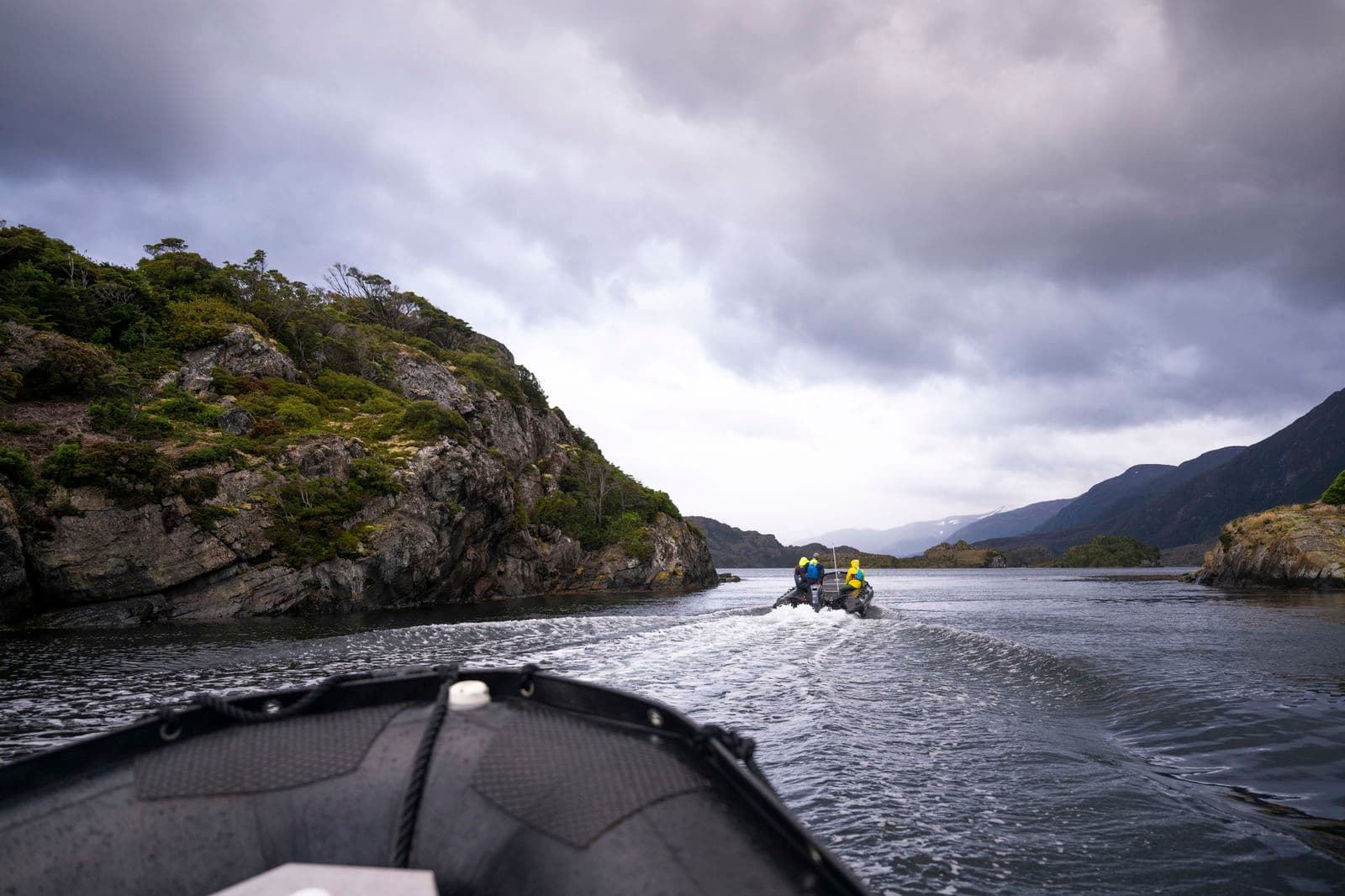 Cruising Angostura White